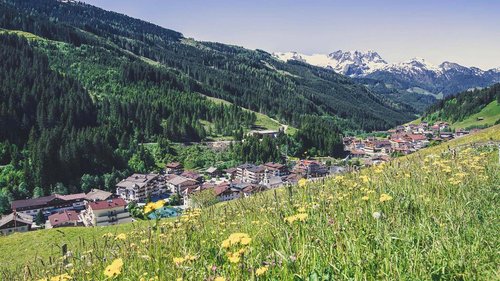 Our water world in Gerlos • Der Grubacher: Eco Hotel in Tyrol View from a flower meadow over Gerlos
